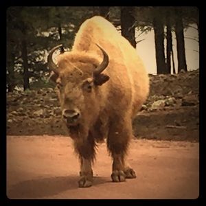 Meet your Posher, Kate